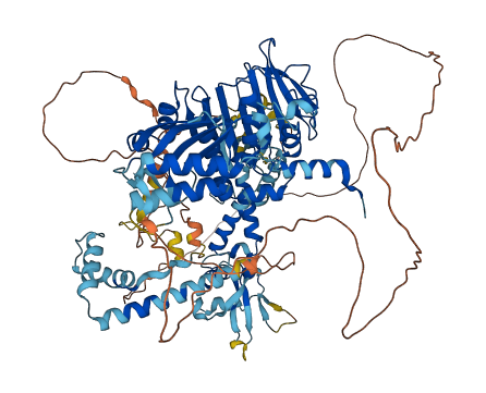 PMS1 3D structure