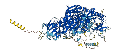 CACNA2D1 3D structure