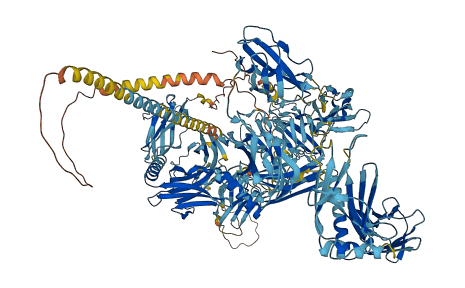 MYOM2 3D structure