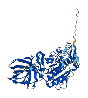 PNLIPRP2 3D structure