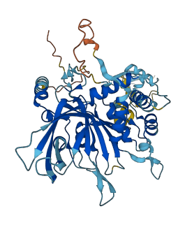 USP14 3D structure