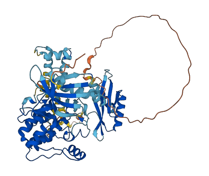 PRKAA2 3D structure