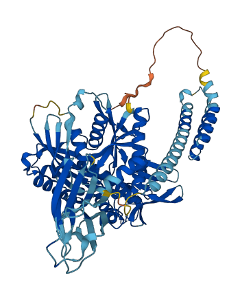 HSPA2 3D structure