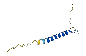 FXYD2 3D structure