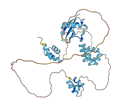 RAD23A 3D structure
