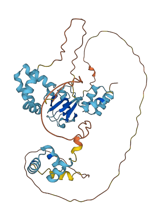 RAD23B 3D structure