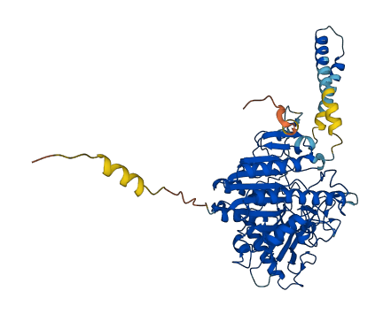 ARSF 3D structure