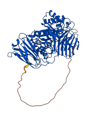 GALC 3D structure