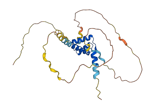 PRRX1 3D structure