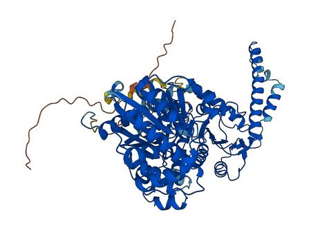 GYS2 3D structure