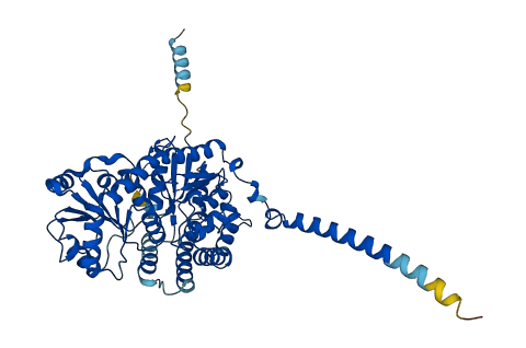 UGT2B15 3D structure