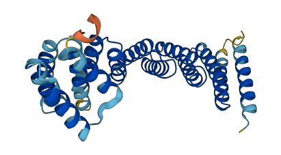 NAPA 3D structure