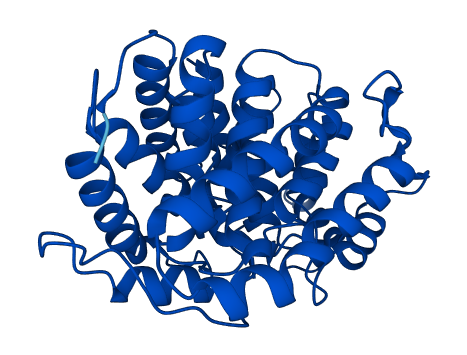 ADPRH 3D structure