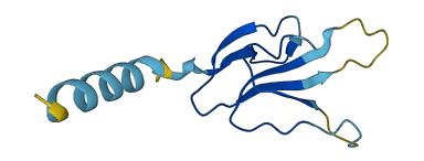 SLURP1 3D structure