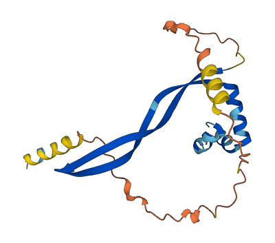 MFAP2 3D structure