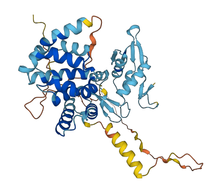 EIF5 3D structure