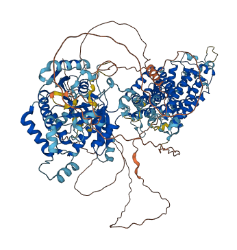 SLC12A2 3D structure