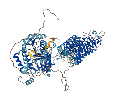SLC12A3 3D structure