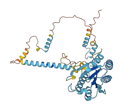 PSMD4 3D structure