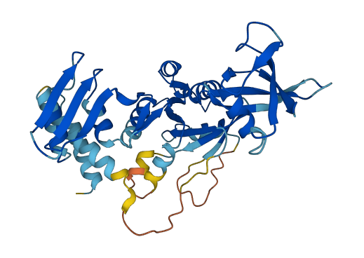 DRG2 3D structure