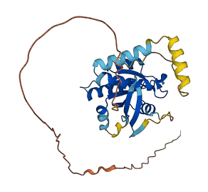 GEM 3D structure