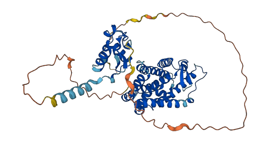NR1H2 3D structure
