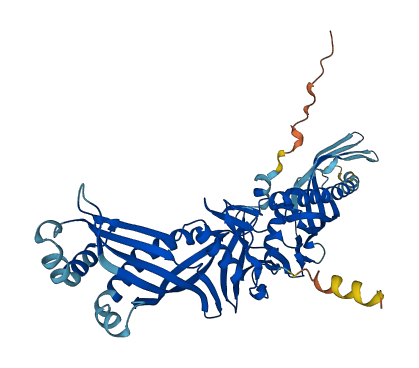 PLTP 3D structure