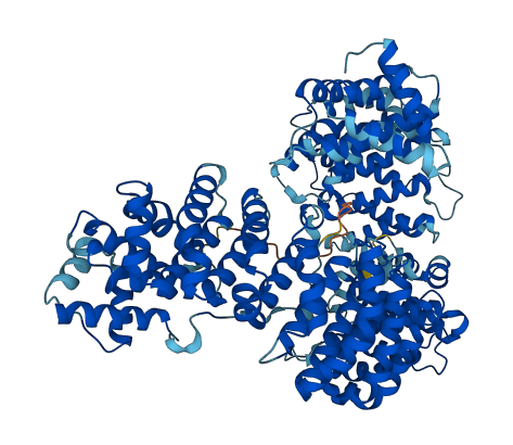 CSE1L 3D structure