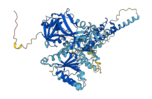 VCP 3D structure