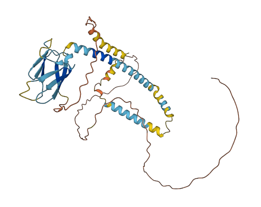 MFAP3 3D structure