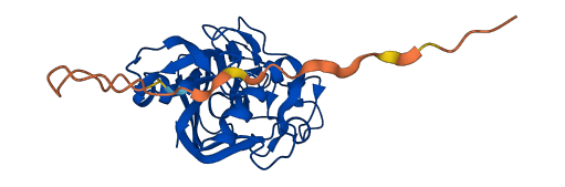 MFAP4 3D structure