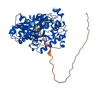 HADHB 3D structure