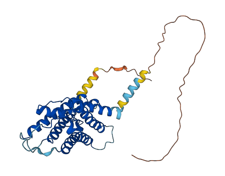 AQP4 3D structure