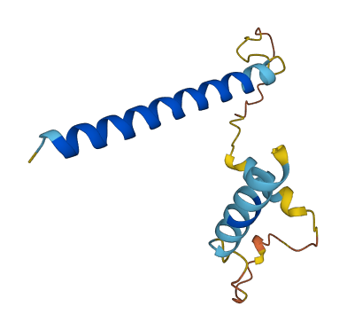 UCN 3D structure