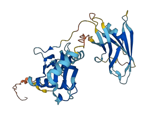 INHBC 3D structure