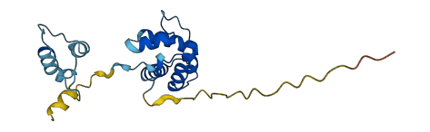 MANF 3D structure