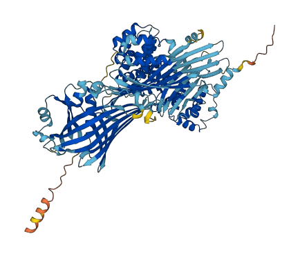 MTTP 3D structure