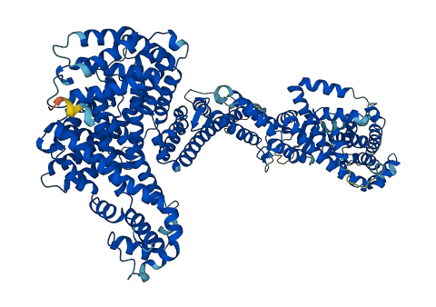 NCKAP1L 3D structure
