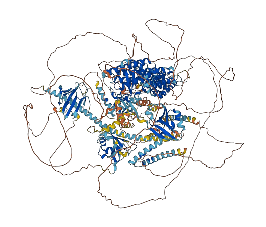 AFDN 3D structure