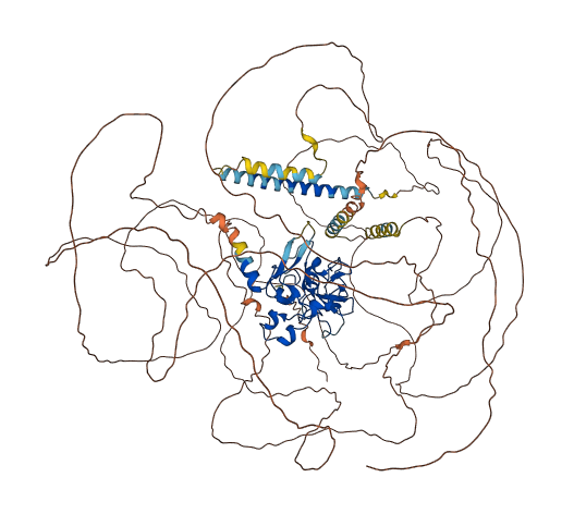 MLLT10 3D structure