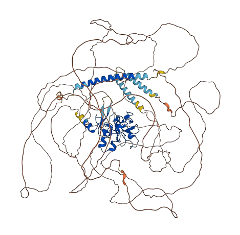 MLLT6 3D structure