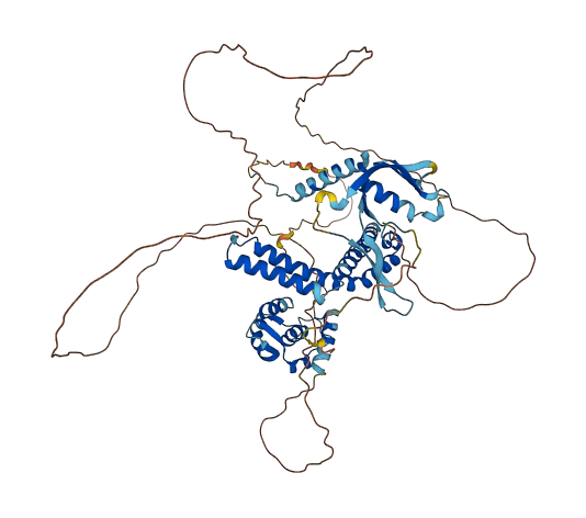 ELL 3D structure