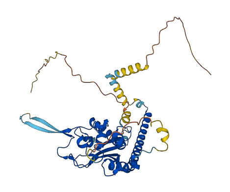 NAP1L1 3D structure