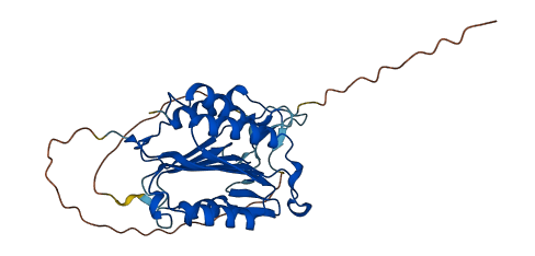 CASP7 3D structure