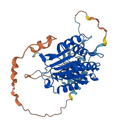 CASP9 3D structure