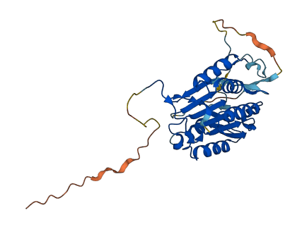 CASP6 3D structure