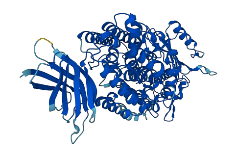 Alox12e 3D structure