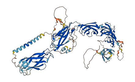 CDH4 3D structure