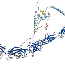 CDH6 3D structure