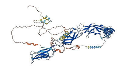 CDH11 3D structure